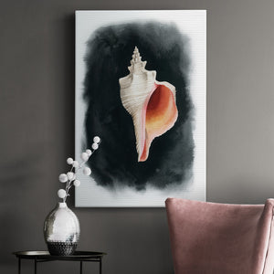 Conch on Black II - Canvas Art Print