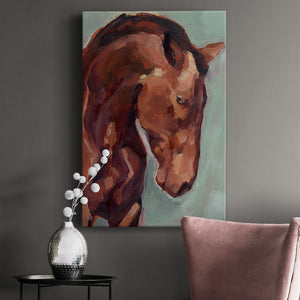 Paint by Number Horse II - Canvas Art Print