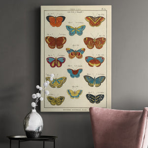 Histoire Naturelle Butterflies I - Canvas Art Print