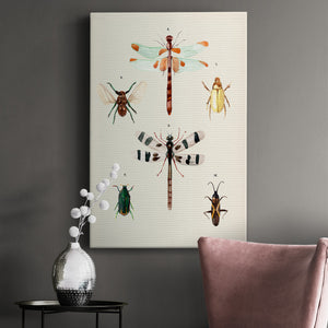 Insect Varieties II - Canvas Art Print
