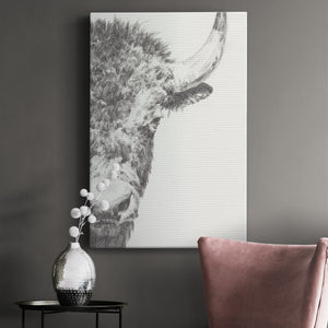 Graphite Bison Portrait II - Canvas Art Print