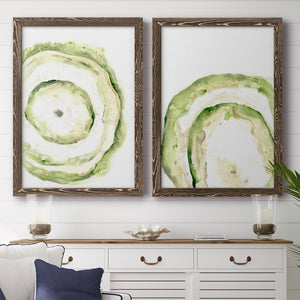 Lichen Halo III - Barnwood Framed Canvas Set