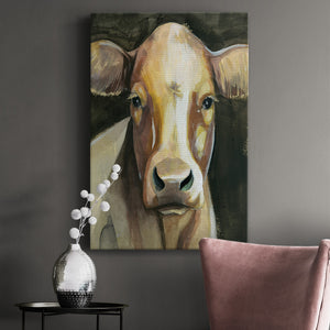 Sweet Eyes II - Canvas Art Print