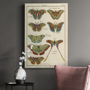 Histoire Naturelle Butterflies III - Canvas Art Print