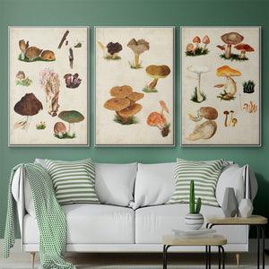Mushroom Species IV - Framed Premium Gallery Wrapped Canvas L Frame 3 Piece Set - Ready to Hang