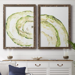 Lichen Halo V - Barnwood Framed Canvas Set