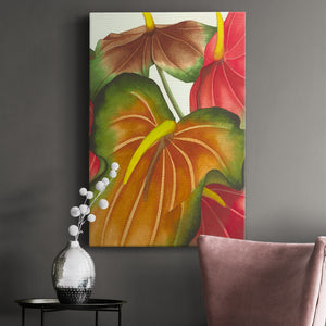 Anthuria I Premium Gallery Wrapped Canvas - Ready to Hang