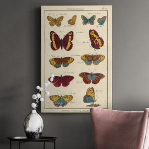 Histoire Naturelle Butterflies IV - Canvas Art Print