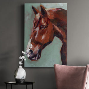 Paint by Number Horse I - Canvas Art Print