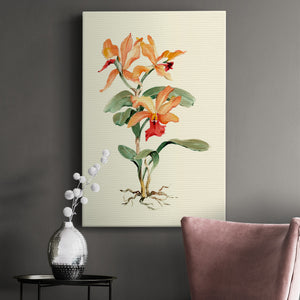 Orange Orchid Premium Gallery Wrapped Canvas - Ready to Hang