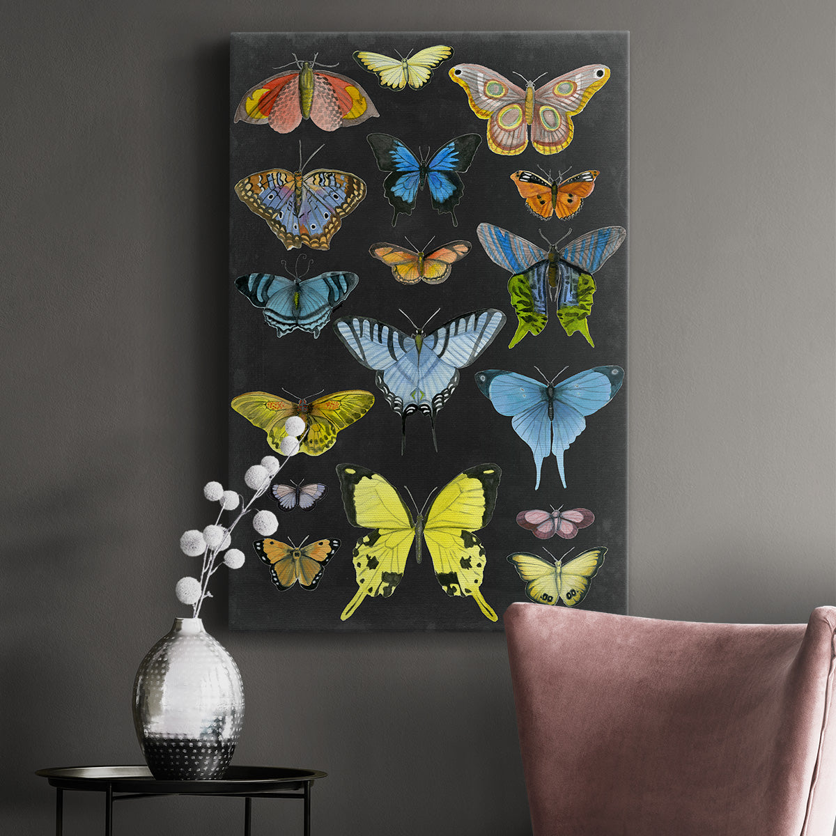 Graphic Butterfly Taxonomy II Premium Gallery Wrapped Canvas - Ready to Hang