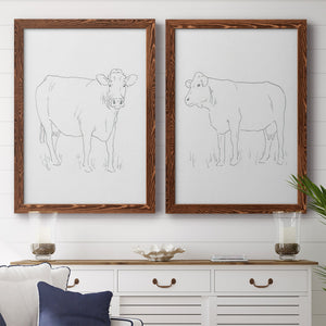 Limousin Cattle III - Premium Framed Canvas 2 Piece Set - Ready to Hang