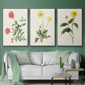 Flowers of the Seasons X - Framed Premium Gallery Wrapped Canvas L Frame 3 Piece Set - Ready to Hang