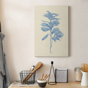 Verditer Fig III - Canvas Art Print