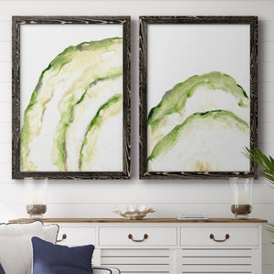 Lichen Halo I - Barnwood Framed Canvas Set