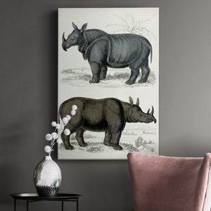 Journal of Natural History IX - Canvas Art Print