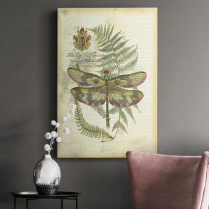Regal Dragonfly IV (PP)  - Canvas Art Print