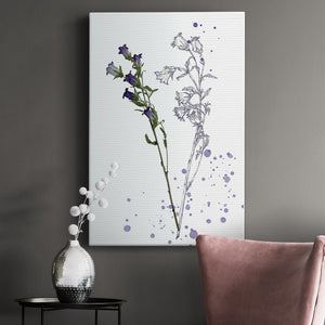 Botany Flower II Premium Gallery Wrapped Canvas - Ready to Hang