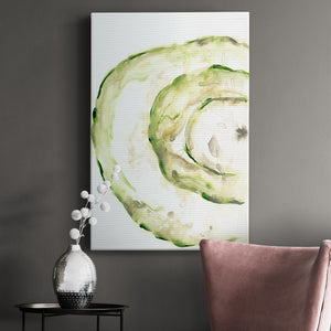 Lichen Halo V - Canvas Art Print