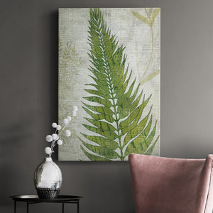 Frond II Premium Gallery Wrapped Canvas - Ready to Hang