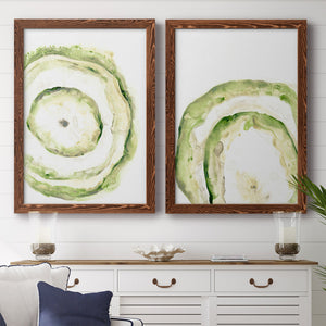 Lichen Halo III - Barnwood Framed Canvas Set