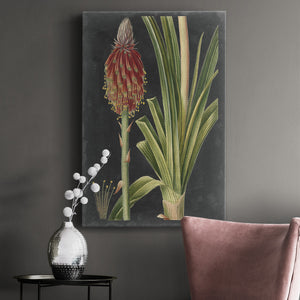 Dramatic Tropicals IV Premium Gallery Wrapped Canvas - Ready to Hang