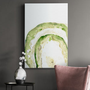 Lichen Halo IV - Canvas Art Print