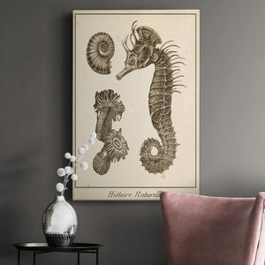 Seahorse Study II - Canvas Art Print
