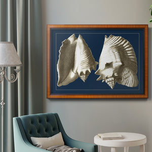 Conch Shells on Navy I Premium Framed Canvas- Ready to Hang