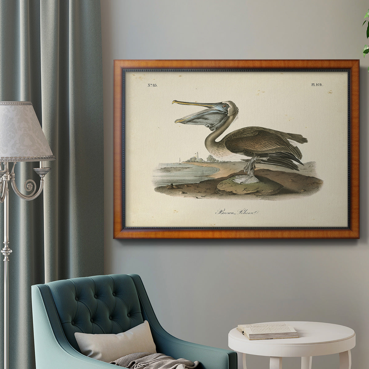 Audubons Brown Pelican Premium Framed Canvas- Ready to Hang
