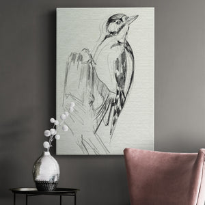 Woodpecker Sketch II Premium Gallery Wrapped Canvas - Ready to Hang