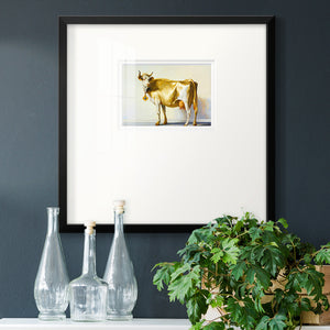 Gold Cow Premium Framed Print Double Matboard