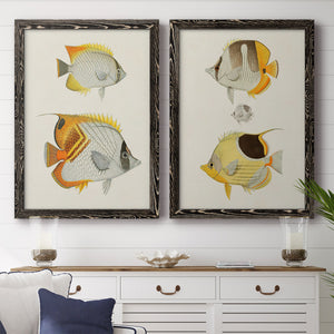 Yellow & Grey Fish I - Premium Framed Canvas 2 Piece Set - Ready to Hang
