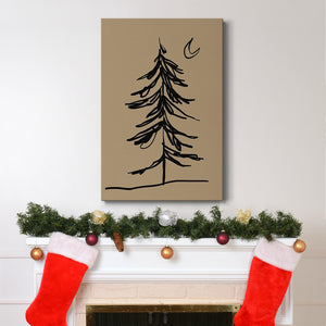 Winter Fir Sketch I - Gallery Wrapped Canvas