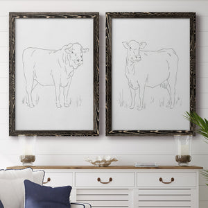 Limousin Cattle I - Barnwood Framed Canvas Set