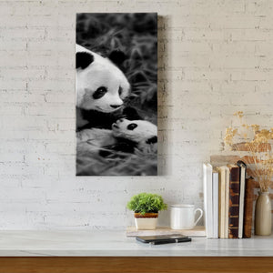 Panda Play - Premium Gallery Wrapped Canvas - Ready to Hang