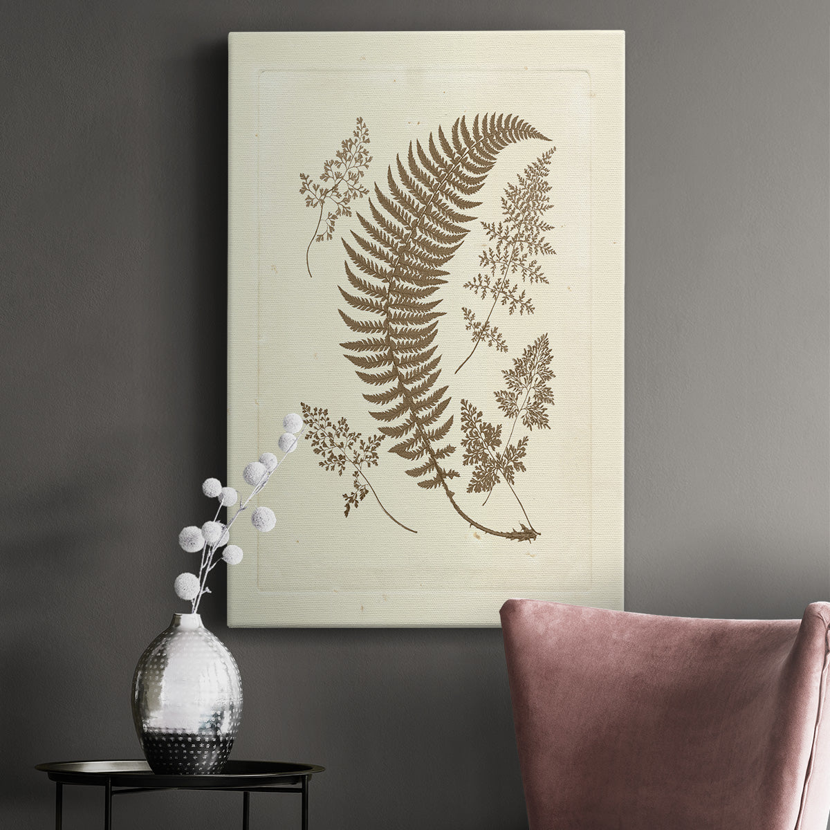 Sepia Ferns IV Premium Gallery Wrapped Canvas - Ready to Hang