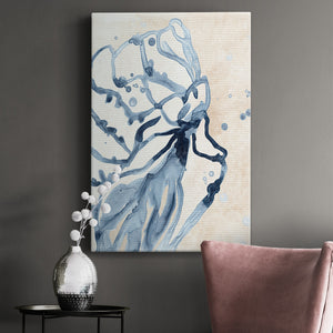 Water Shells I Premium Gallery Wrapped Canvas - Ready to Hang