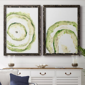 Lichen Halo III - Barnwood Framed Canvas Set
