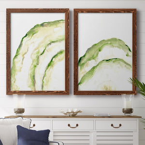 Lichen Halo I - Barnwood Framed Canvas Set