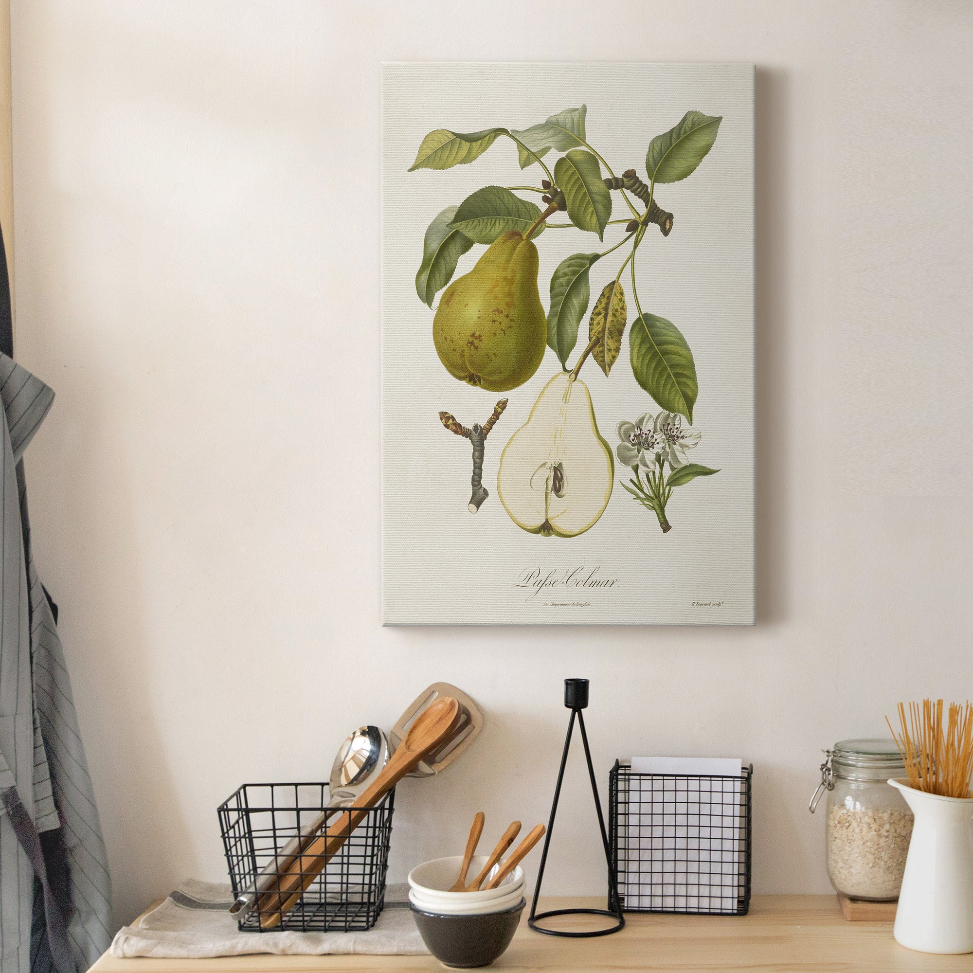 Vintage Pears II Premium Gallery Wrapped Canvas - Ready to Hang