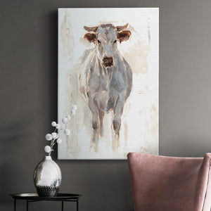 Sunlit Cows I - Canvas Art Print