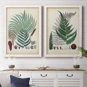 Collected Ferns I - Premium Framed Canvas 2 Piece Set - Ready to Hang