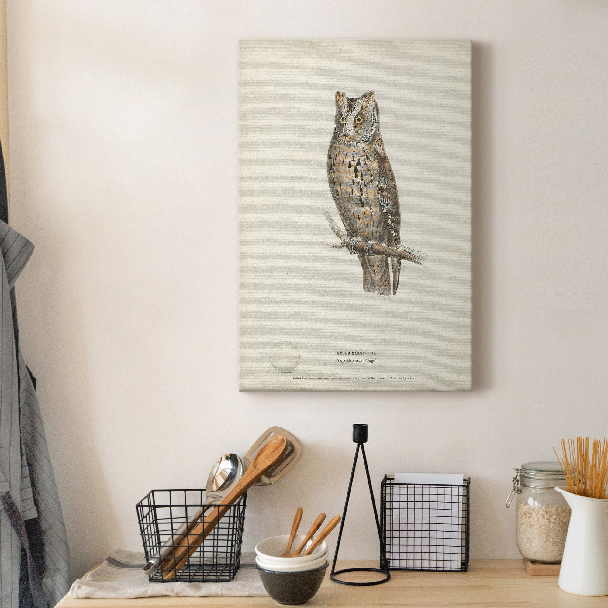 Scops- Eared Owl Premium Gallery Wrapped Canvas - Ready to Hang