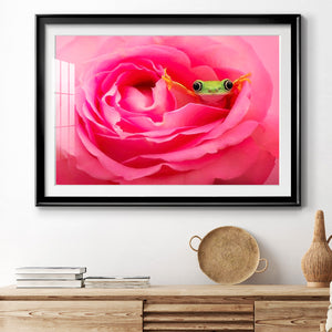 Hanging On VIII - Modern Framed Art Print