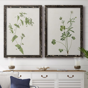 Wispy Botanical I - Premium Framed Canvas 2 Piece Set - Ready to Hang