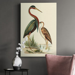 Water Birds III Premium Gallery Wrapped Canvas - Ready to Hang