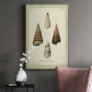 Bookplate Shells VI Premium Gallery Wrapped Canvas - Ready to Hang
