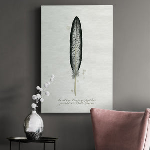 Found Feather II - Canvas Art Print