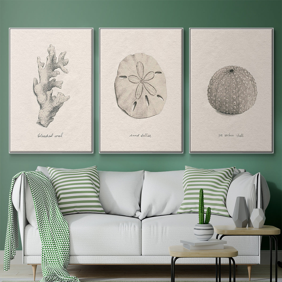 Shore Treasure Study I - Framed Premium Gallery Wrapped Canvas L Frame 3 Piece Set - Ready to Hang